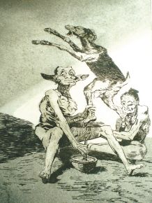 von goya